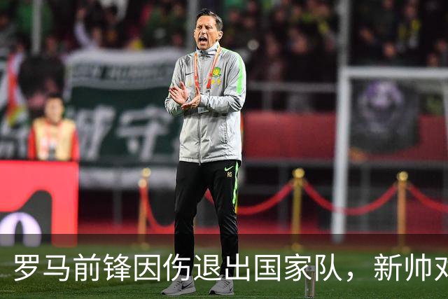 罗马前锋因伤退出国家队，新帅对此表示遗憾