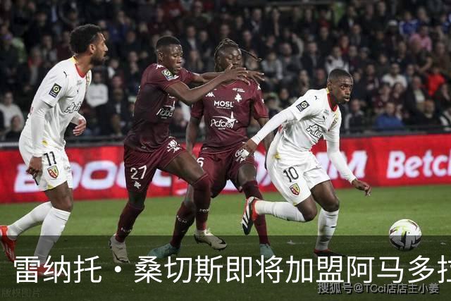 雷纳托·桑切斯即将加盟阿马多拉之星，签约一年